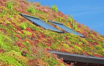 St Twynnells living roof systems