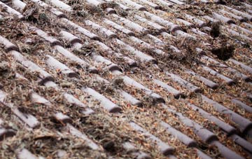 St Twynnells roof cleaning companies